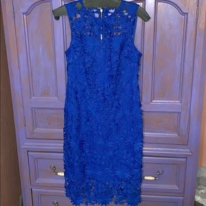 NWT Calvin Klein Dress sz 4.